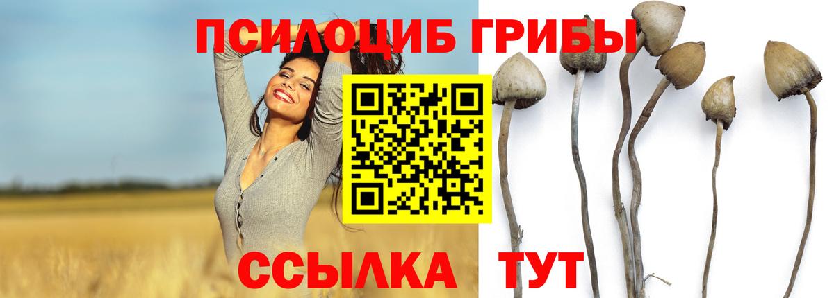 Валуйки  Псилоцибиновые грибы прущие грибы  Вход с VPN 